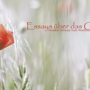 Essays über das Glück