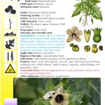 Hindustan-Plants-Vol2_Seite_106