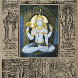 Der Ayurveda im Westen - Band 1