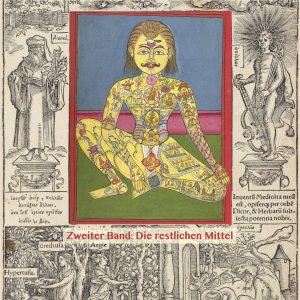 Der Ayurveda im Westen - Band 2